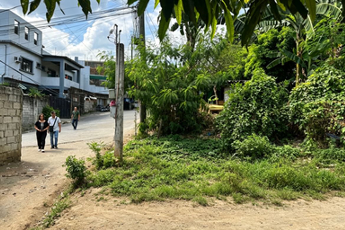 Land for Sale in San Roque, Antipolo, Rizal – photo 3