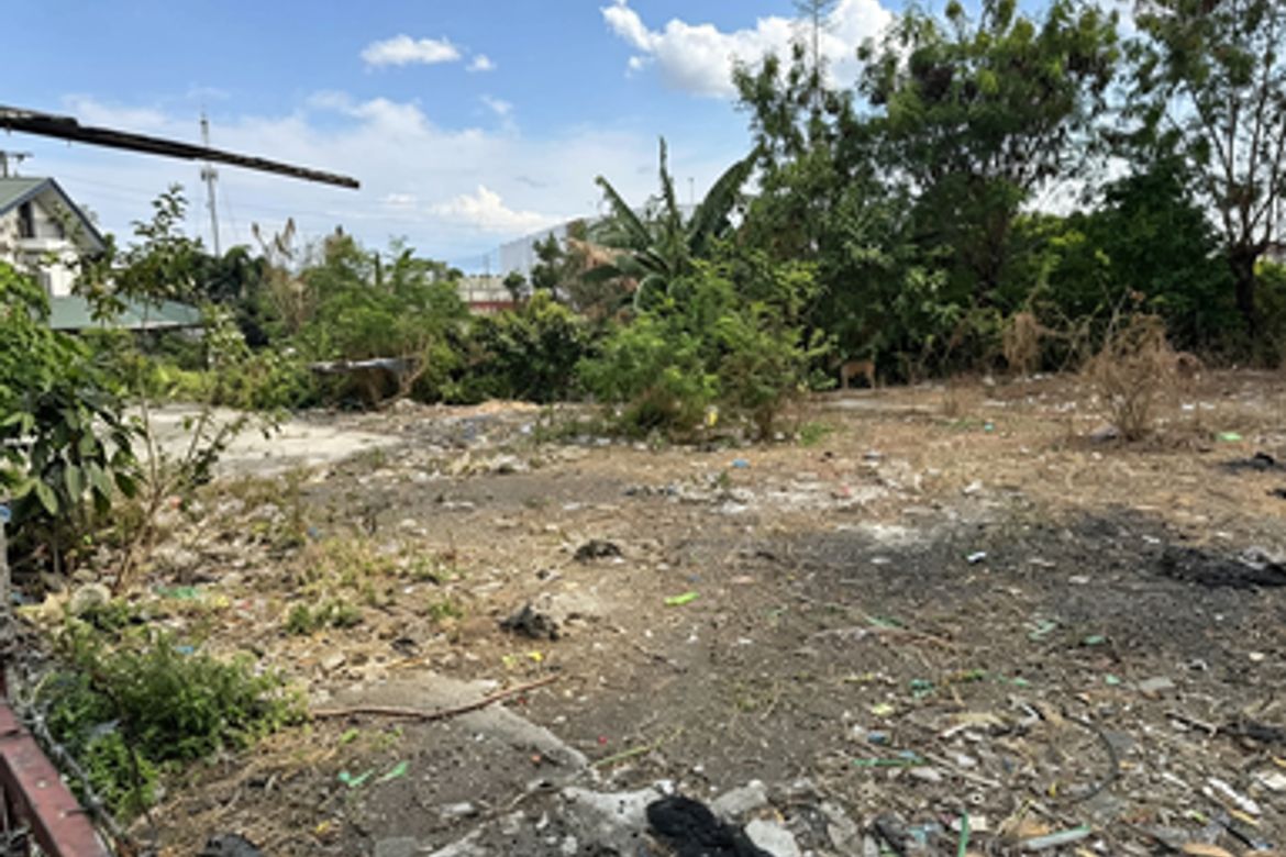 Land for Sale in San Roque, Antipolo, Rizal – photo 5