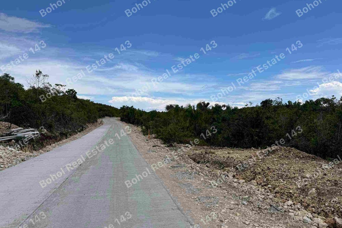 Land for Sale in San Roque, Baclayon, Bohol