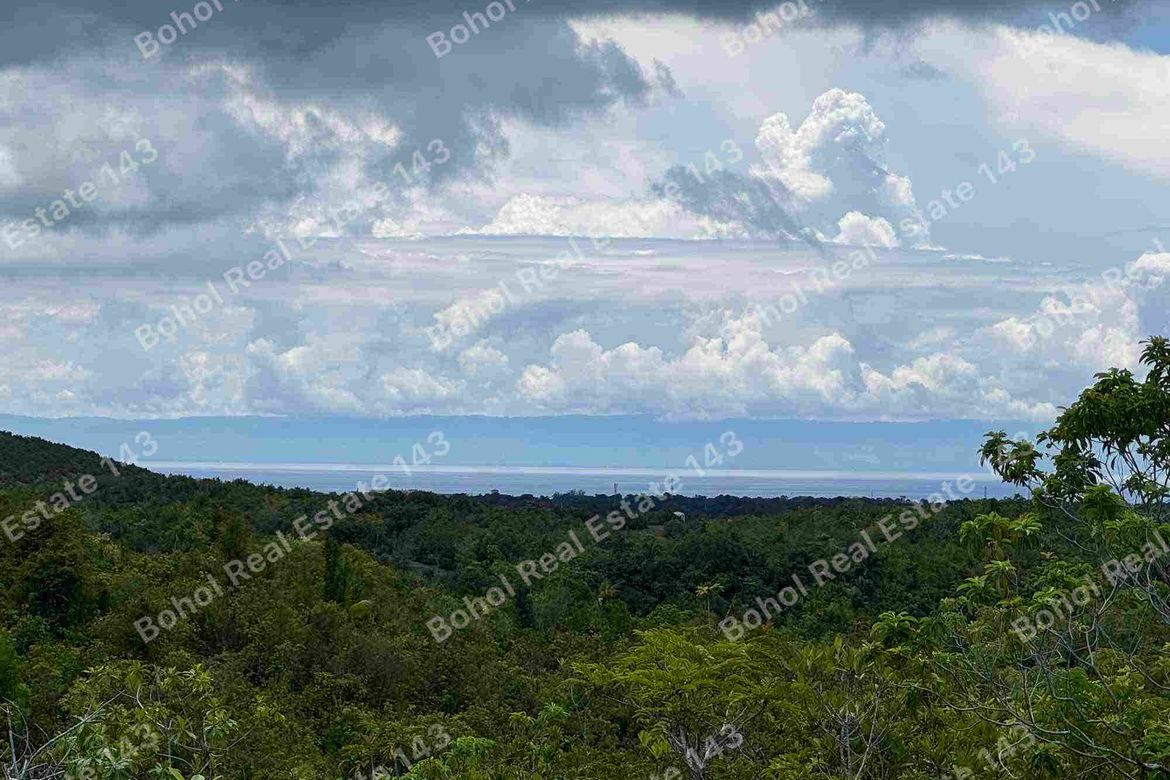 Land for Sale in San Roque, Baclayon, Bohol – photo 2