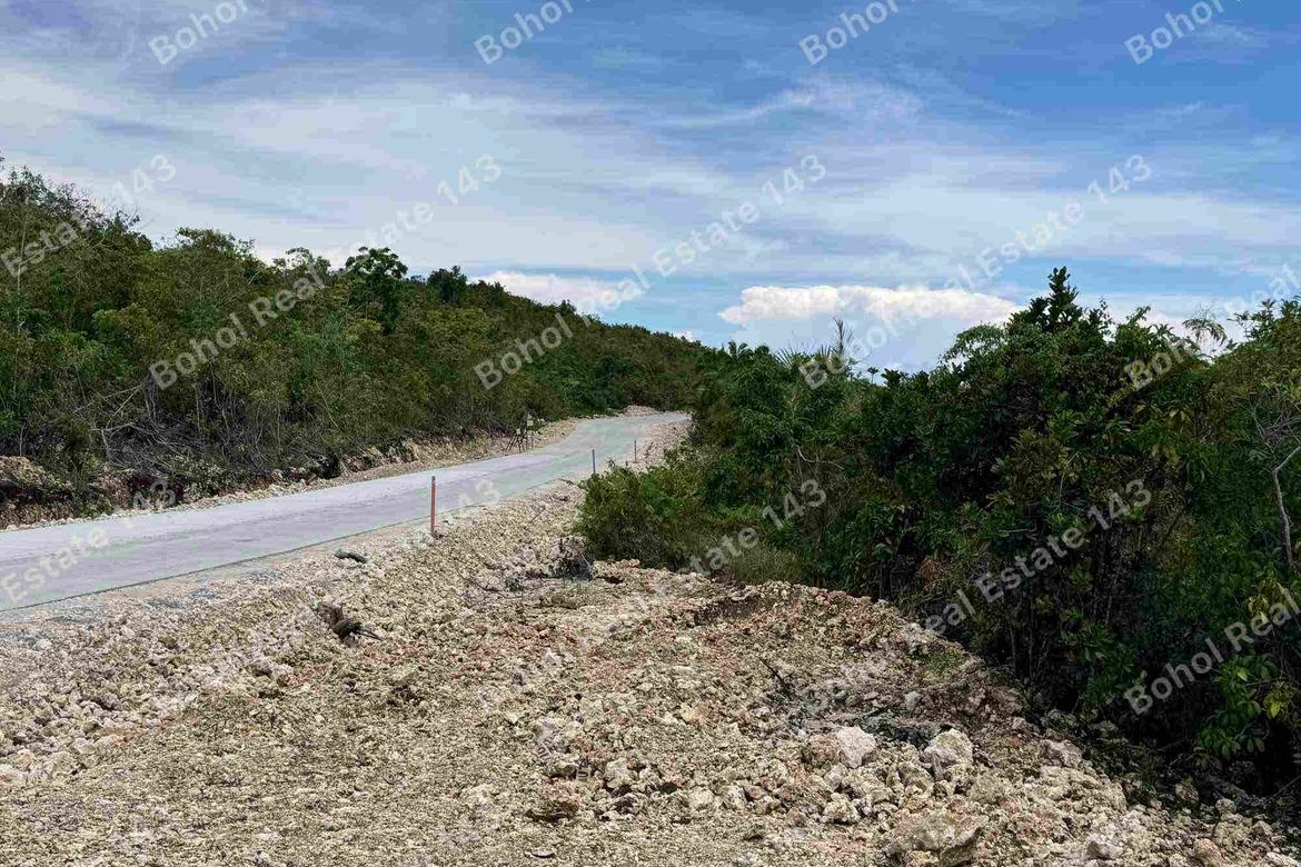 Land for Sale in San Roque, Baclayon, Bohol – photo 4