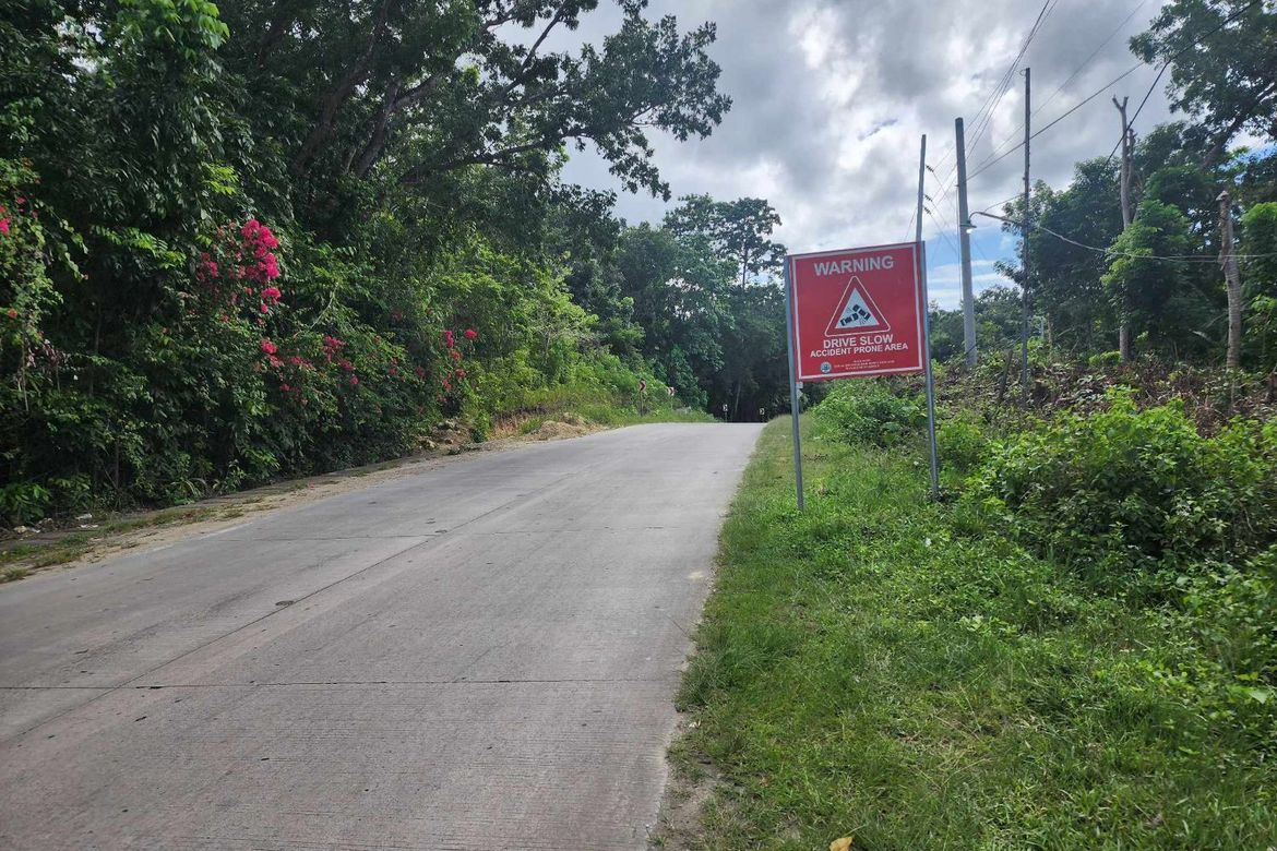 Land for Sale in San Roque, Baclayon, Bohol – photo 3