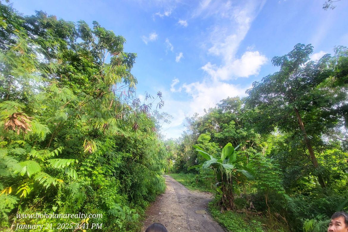 Land for Sale in San Roque, Baclayon, Bohol