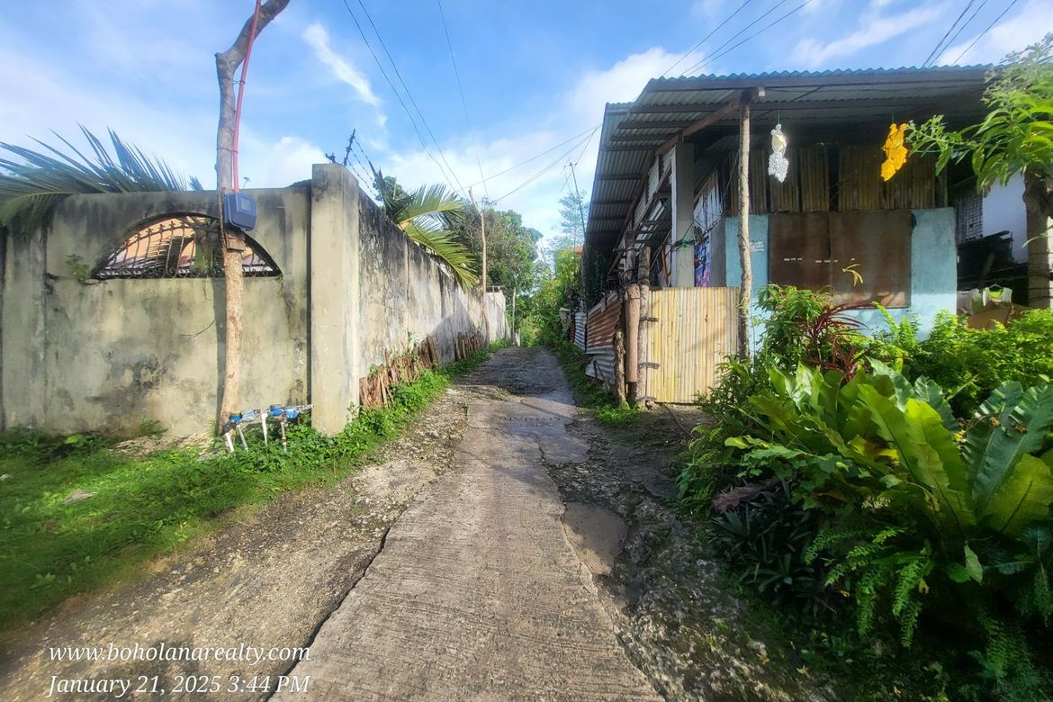 Land for Sale in San Roque, Baclayon, Bohol – photo 3