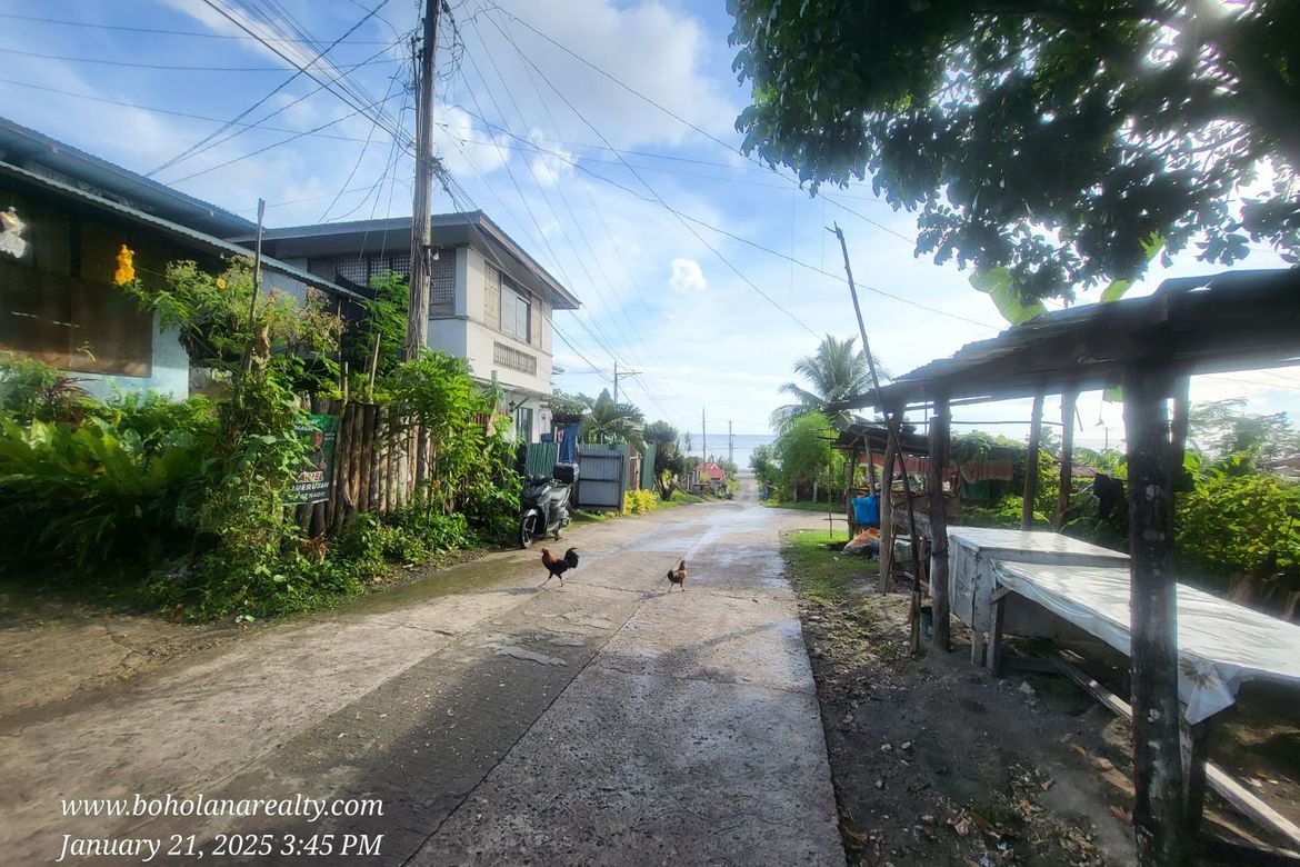 Land for Sale in San Roque, Baclayon, Bohol – photo 4