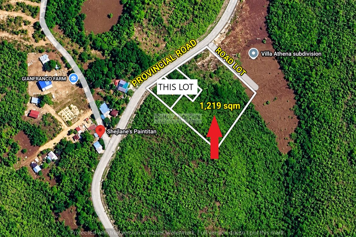 Land for Sale in San Roque, Baclayon, Bohol