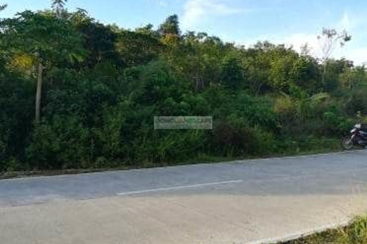 Land for Sale in San Roque, Baclayon, Bohol – photo 2