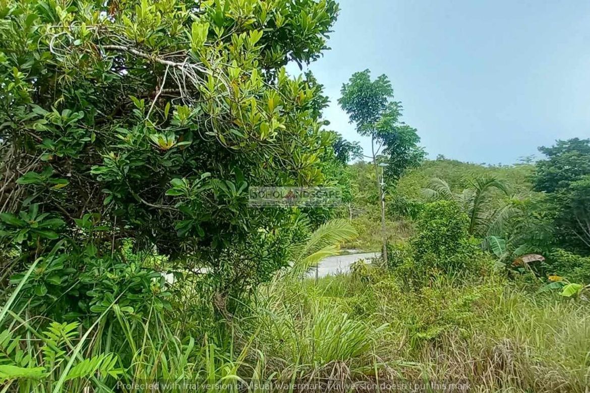 Land for Sale in San Roque, Baclayon, Bohol – photo 4