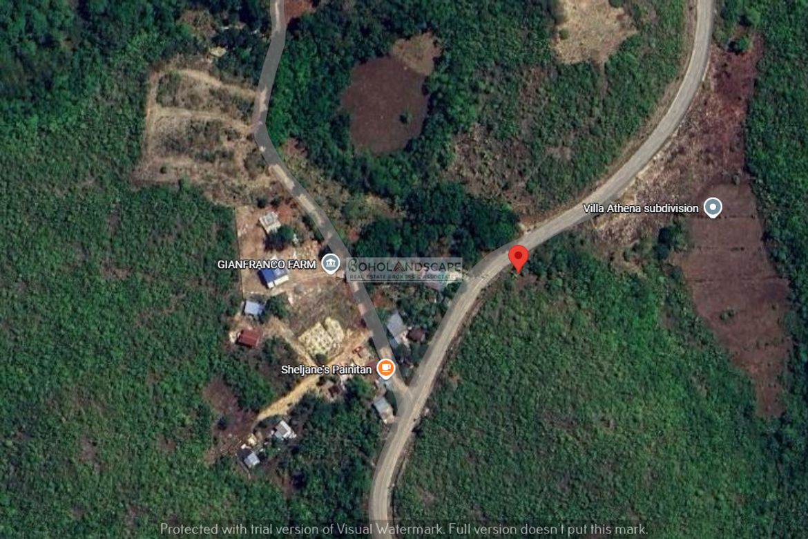 Land for Sale in San Roque, Baclayon, Bohol – photo 7