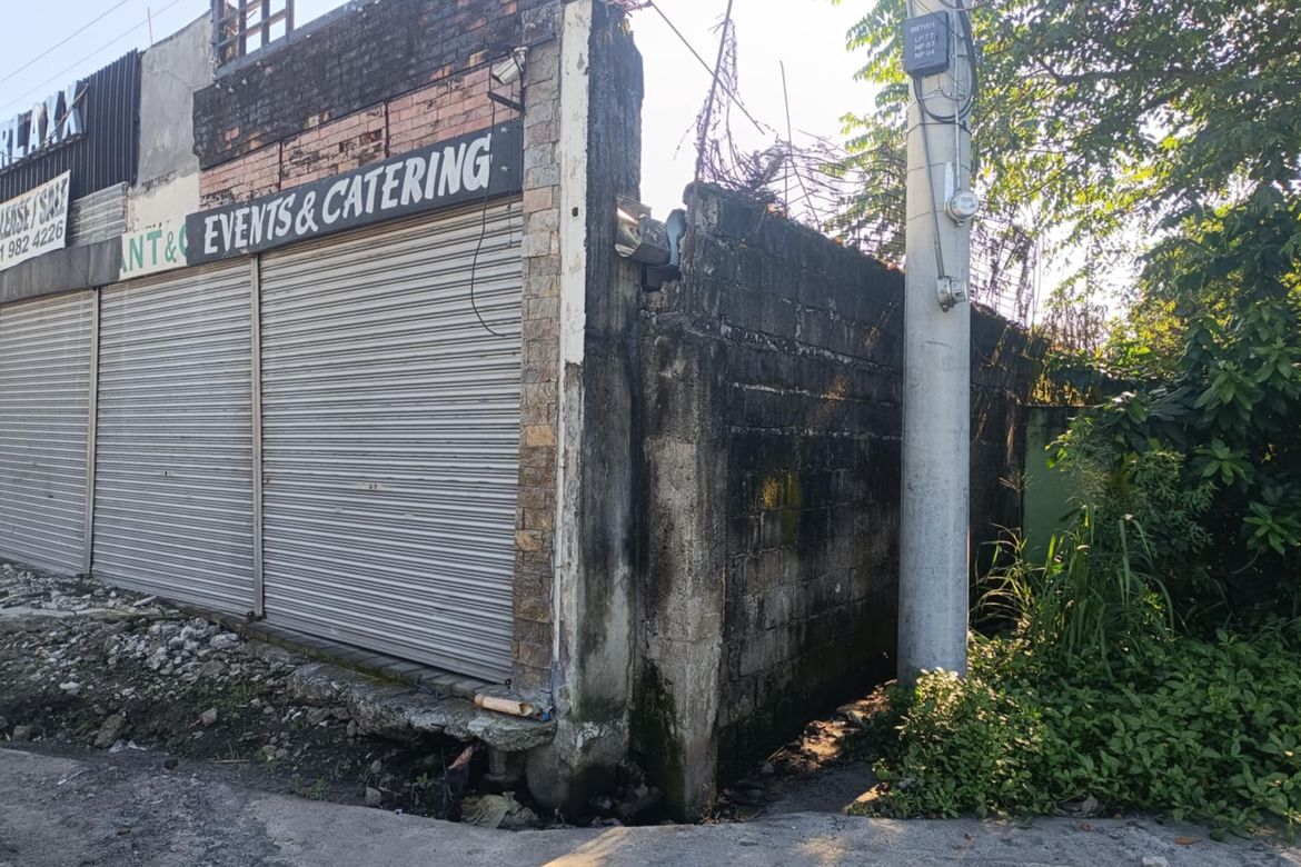 Land for Sale in San Roque, Bamban, Tarlac – photo 2