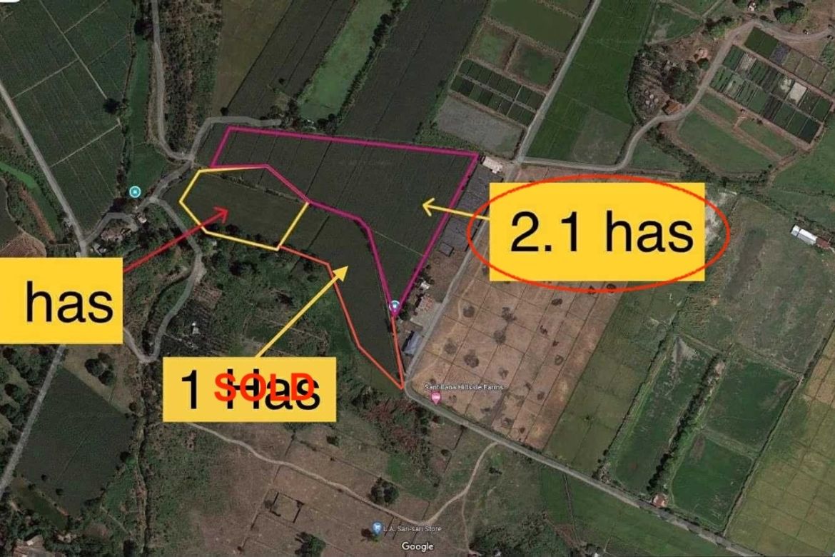 Land for Sale in San Roque Bitas, Arayat, Pampanga
