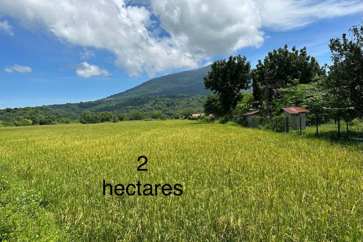 Land for Sale in San Roque Bitas, Arayat, Pampanga – photo 2