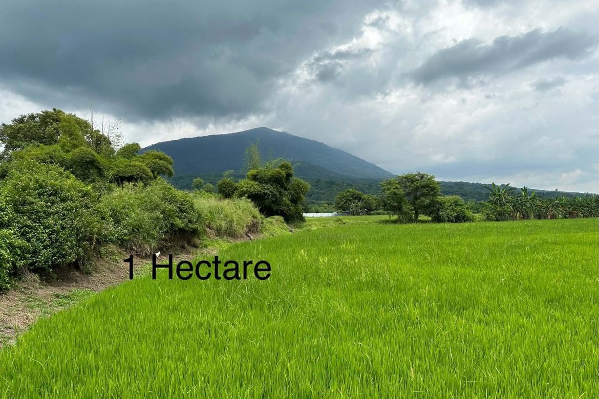 Land for Sale in San Roque Bitas, Arayat, Pampanga – photo 3