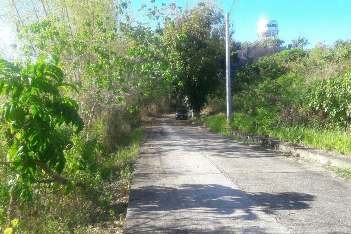 Land for Sale in San Roque, Liloan, Cebu – photo 7