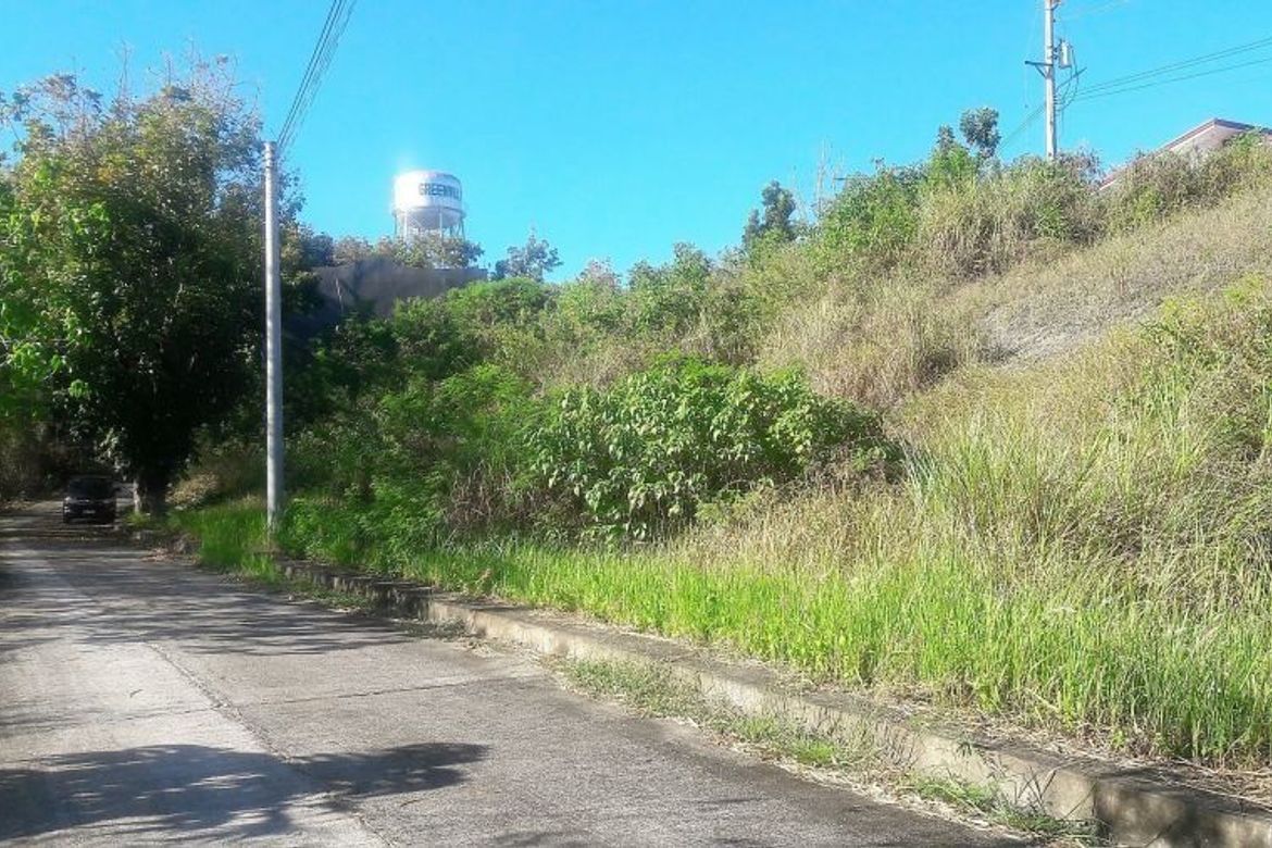 Land for Sale in San Roque, Liloan, Cebu – photo 8