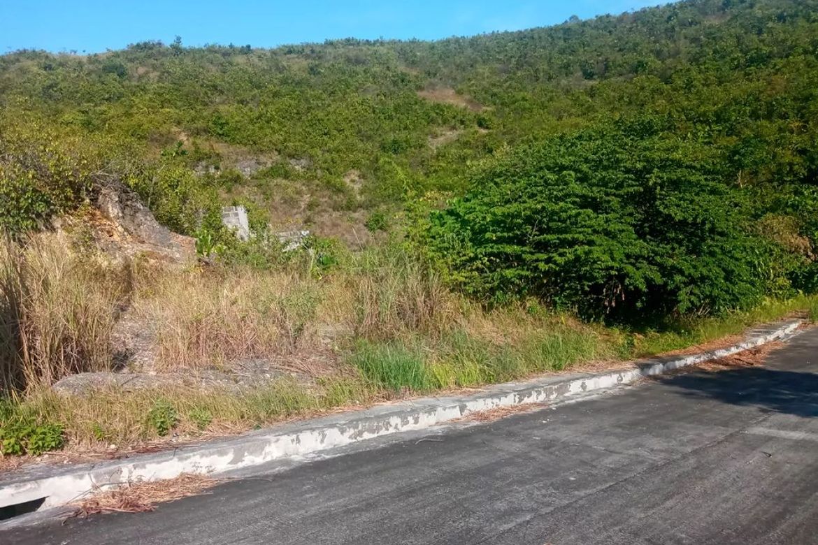 Land for Sale in San Roque, Liloan, Cebu