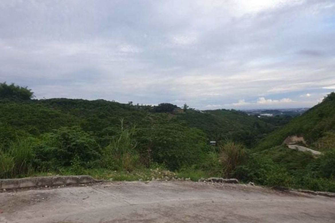 Land for Sale in San Roque, Liloan, Cebu – photo 4