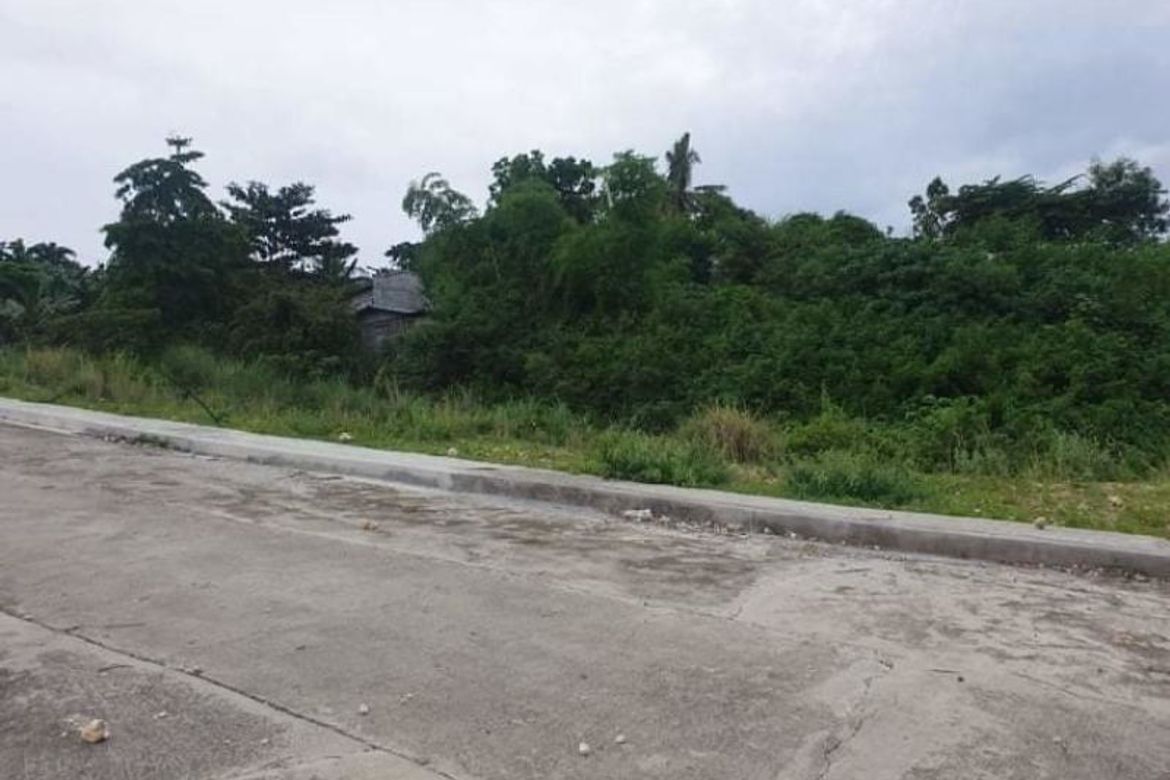 Land for Sale in San Roque, Liloan, Cebu – photo 5