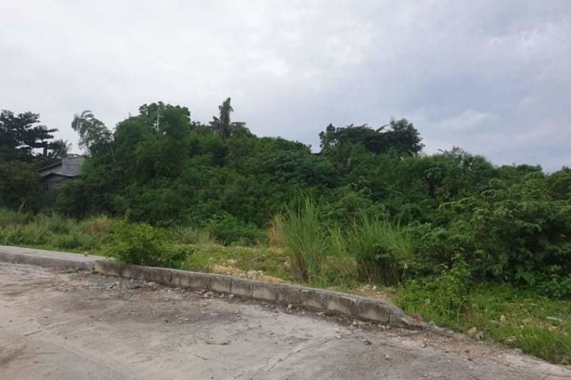 Land for Sale in San Roque, Liloan, Cebu – photo 7