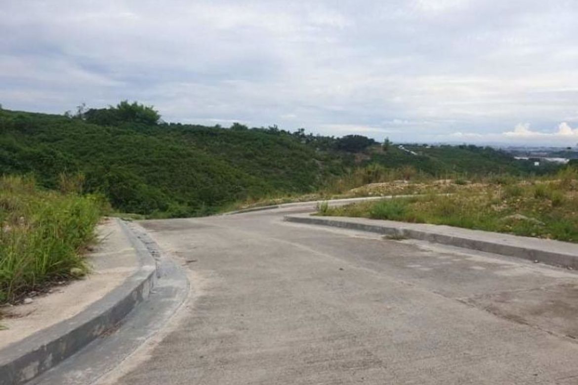 Land for Sale in San Roque, Liloan, Cebu – photo 8