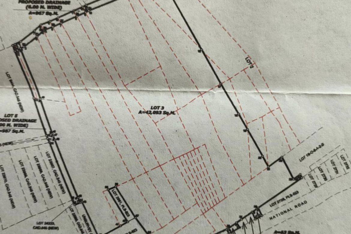Land for Sale in San Roque, Liloan, Cebu – photo 8