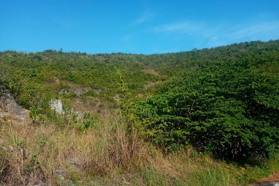 Land for Sale in San Roque, Liloan, Cebu – photo 2