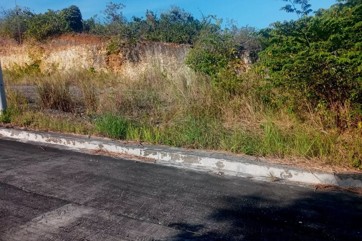 Land for Sale in San Roque, Liloan, Cebu – photo 3