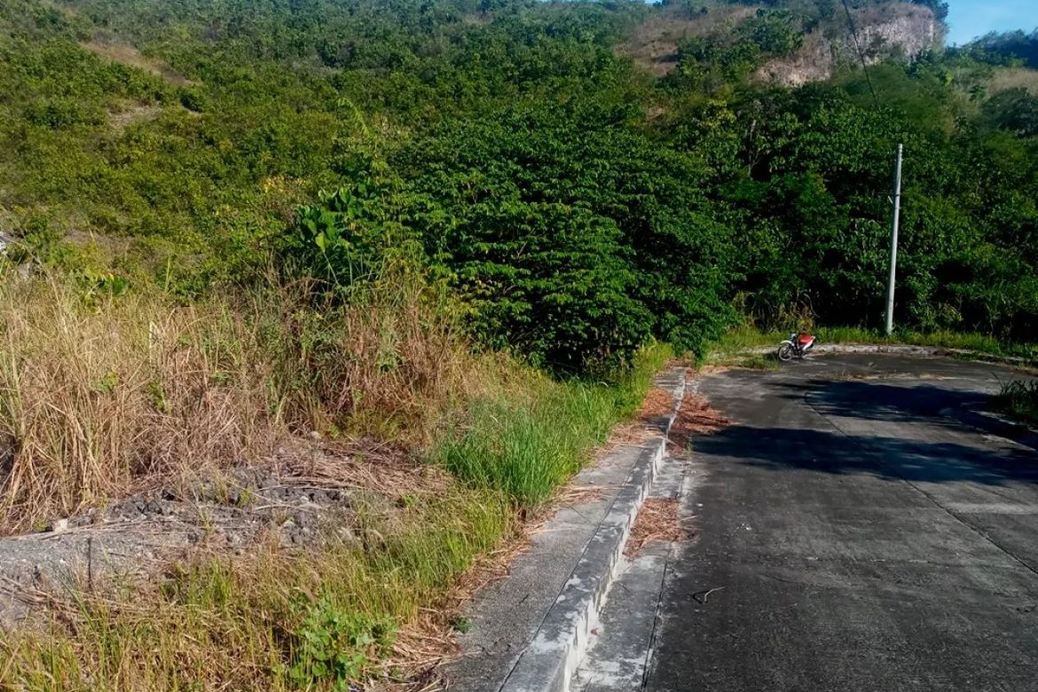 Land for Sale in San Roque, Liloan, Cebu – photo 4