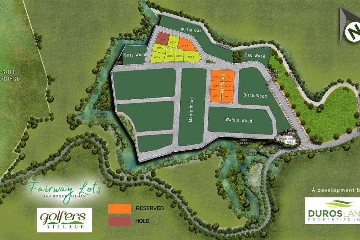 Land for Sale in San Roque, Liloan, Cebu – photo 8