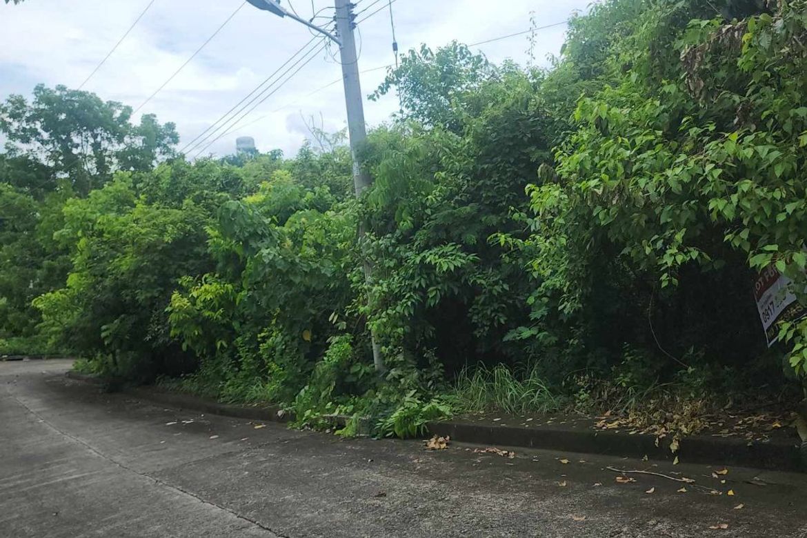 Land for Sale in San Roque, Liloan, Cebu – photo 3