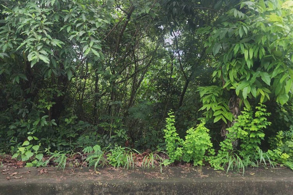 Land for Sale in San Roque, Liloan, Cebu – photo 6