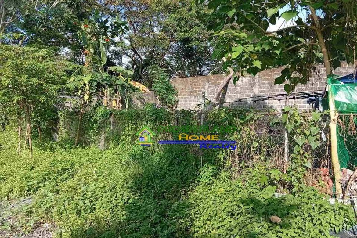 Land for Sale in San Roque, San Pedro, Laguna – photo 5