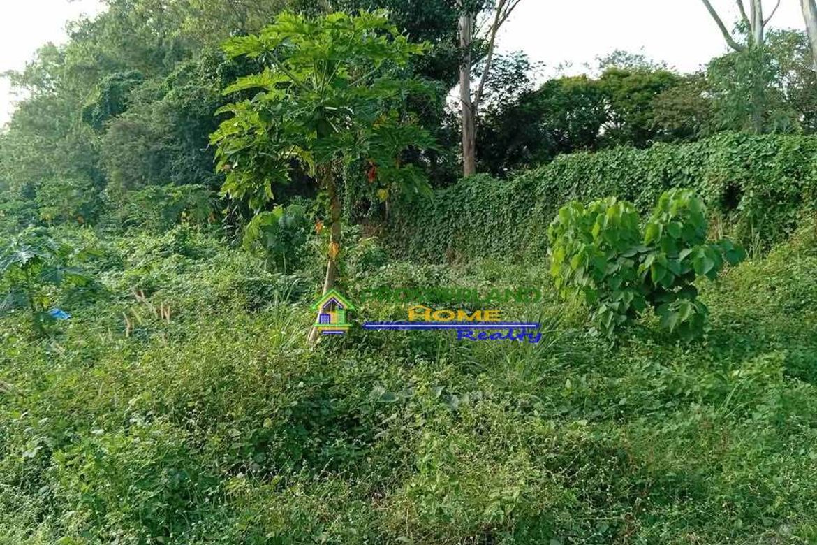 Land for Sale in San Roque, San Pedro, Laguna – photo 3