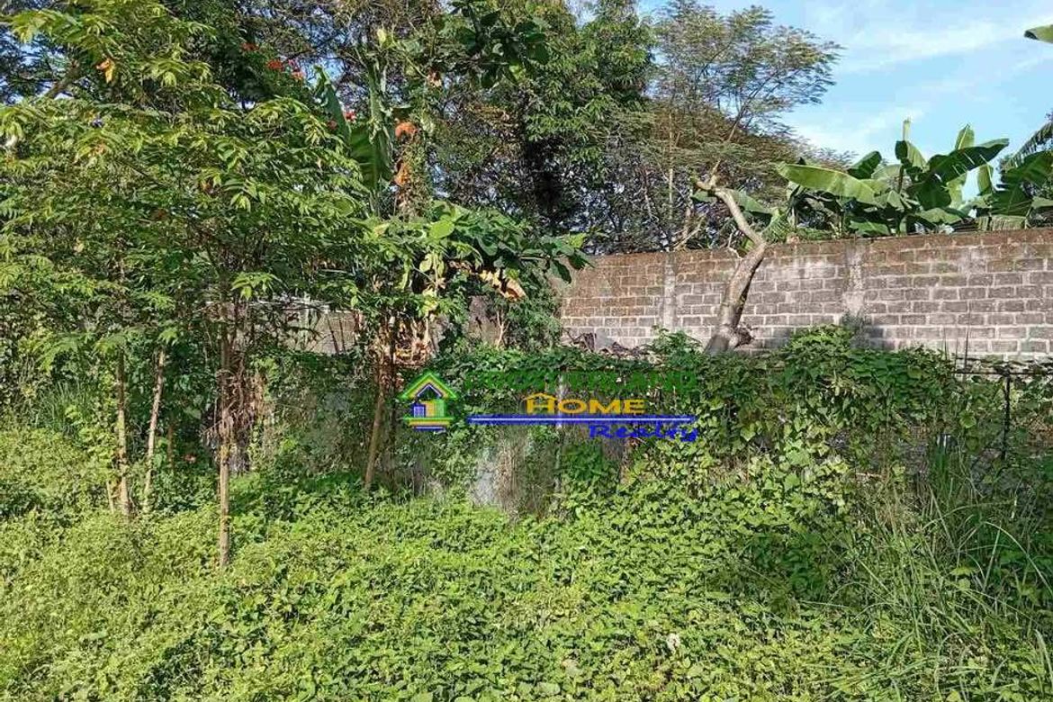 Land for Sale in San Roque, San Pedro, Laguna – photo 6