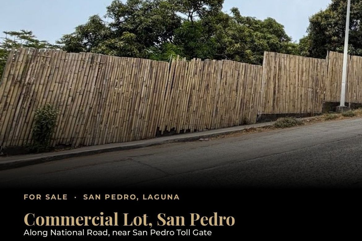 Land for Sale in San Roque, San Pedro, Laguna – photo 2