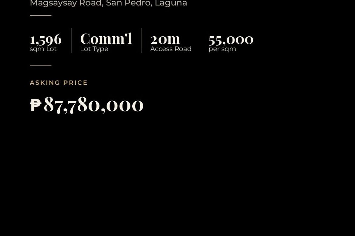Land for Sale in San Roque, San Pedro, Laguna – photo 3