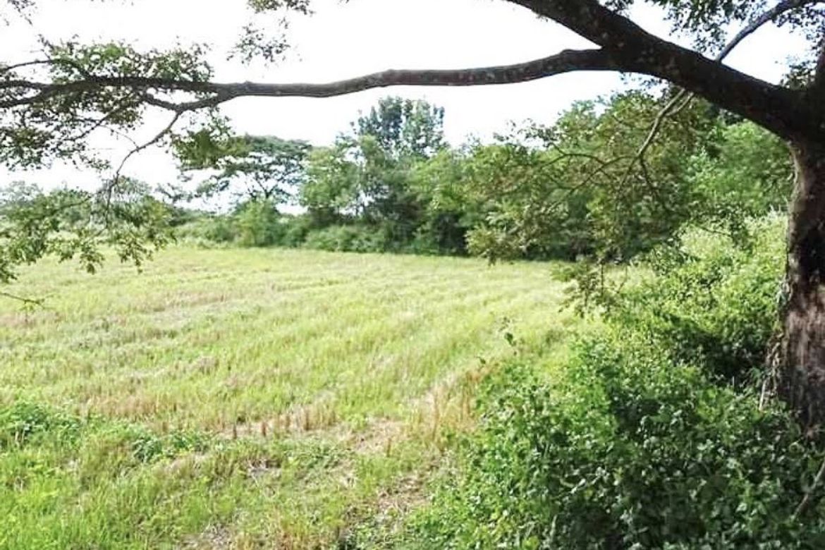Land for Sale in San Roque, San Rafael, Bulacan – photo 3