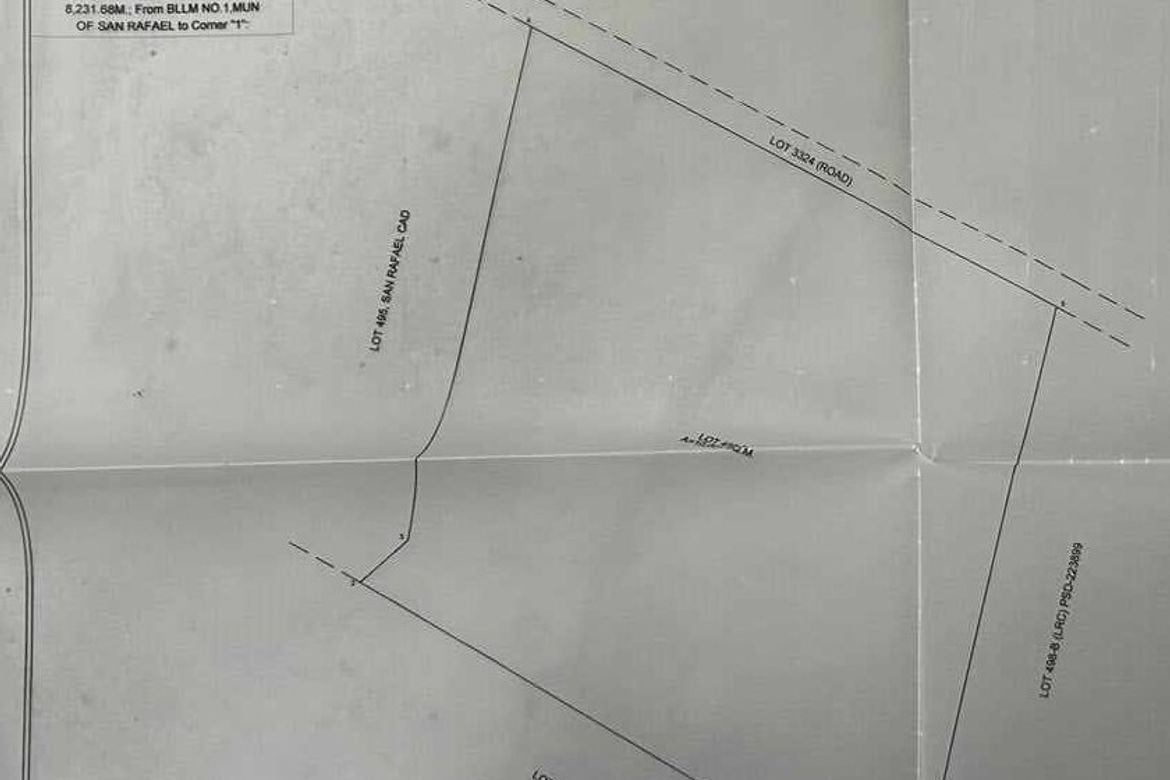 Land for Sale in San Roque, San Rafael, Bulacan – photo 3
