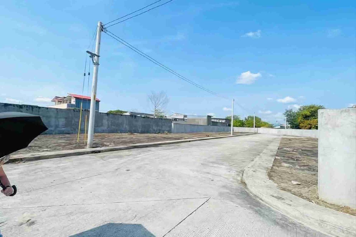 Land for Sale in San Roque, Tarlac, Tarlac – photo 3