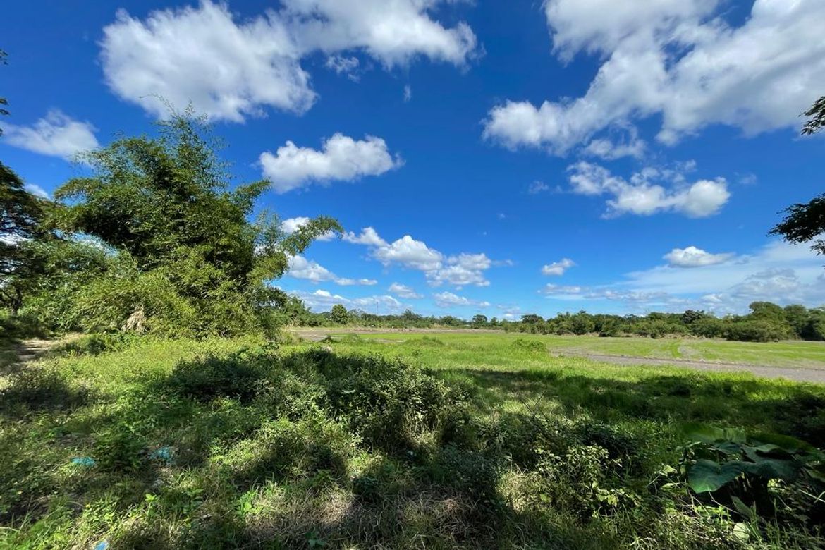 Land for Sale in San Sebastian, Tarlac, Tarlac – photo 2