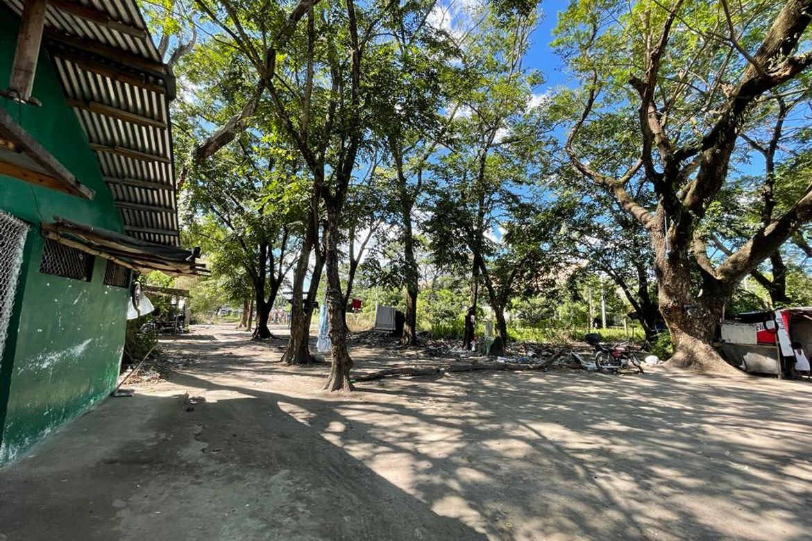 Land for Sale in San Sebastian, Tarlac, Tarlac – photo 3