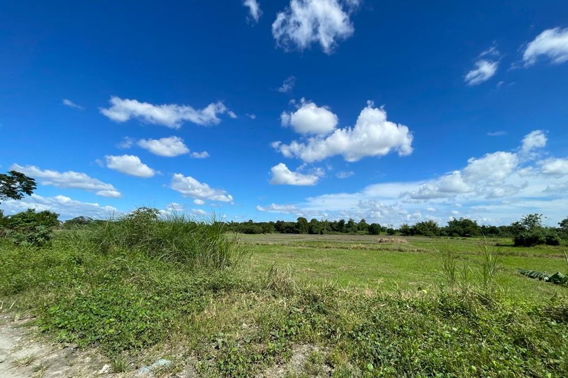 Land for Sale in San Sebastian, Tarlac, Tarlac – photo 5