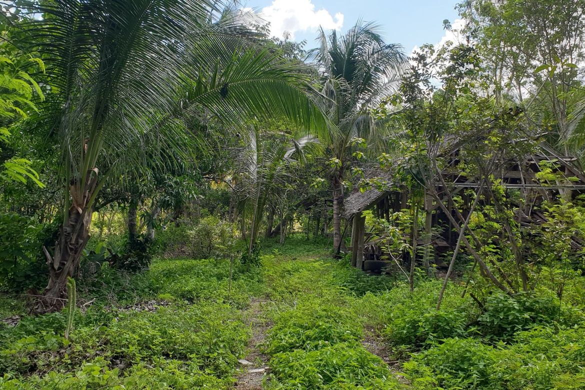 Land for Sale in San Simon, Cagayan de Oro, Misamis Oriental – photo 4