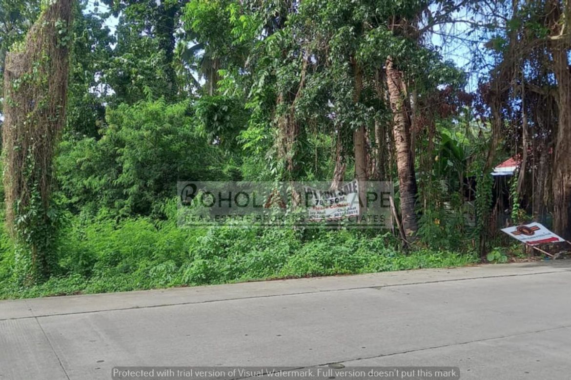 Land for Sale in San Vicente, Baclayon, Bohol – photo 2