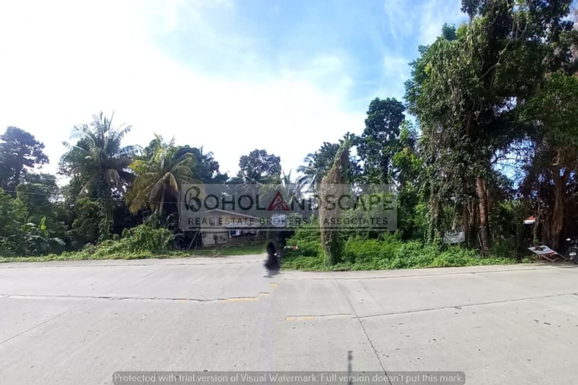 Land for Sale in San Vicente, Baclayon, Bohol – photo 3