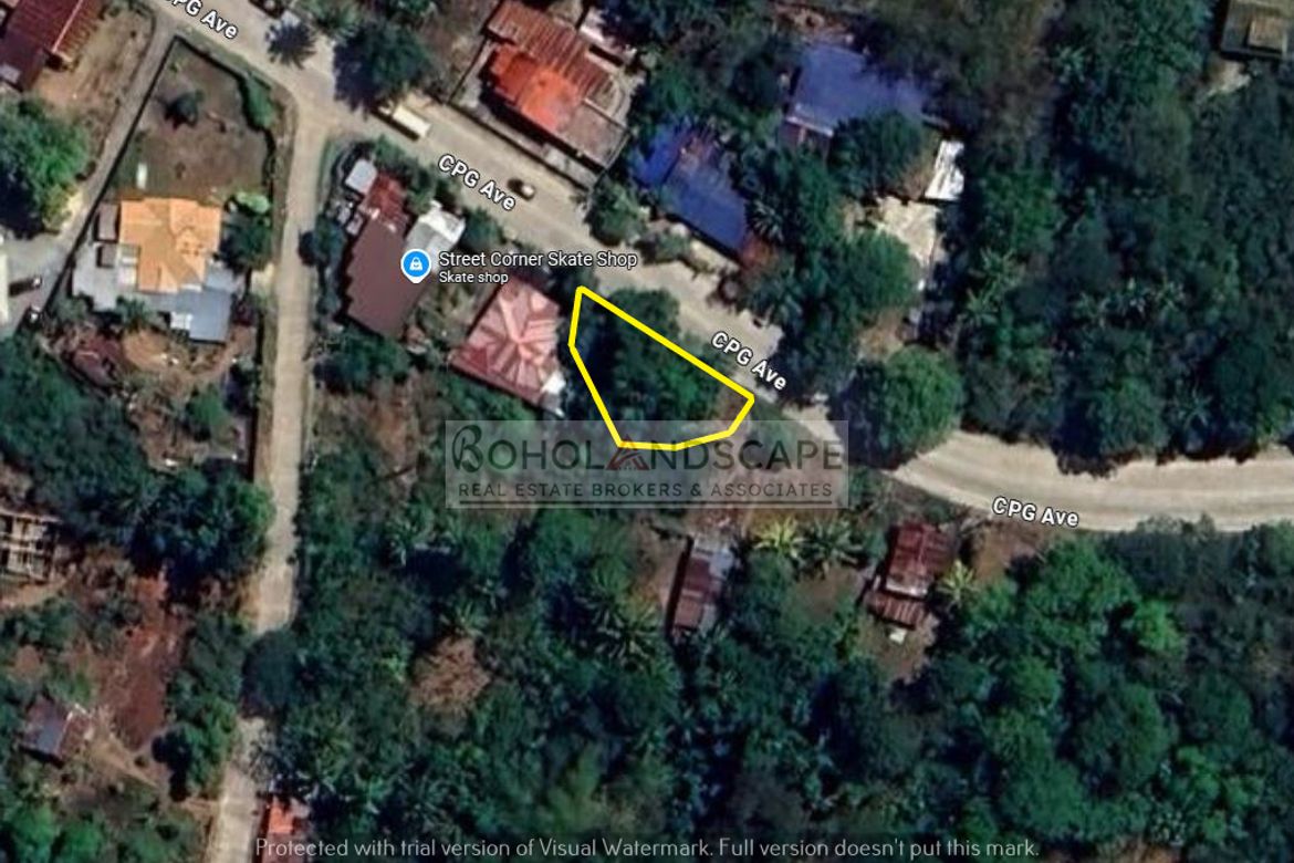 Land for Sale in San Vicente, Baclayon, Bohol – photo 4
