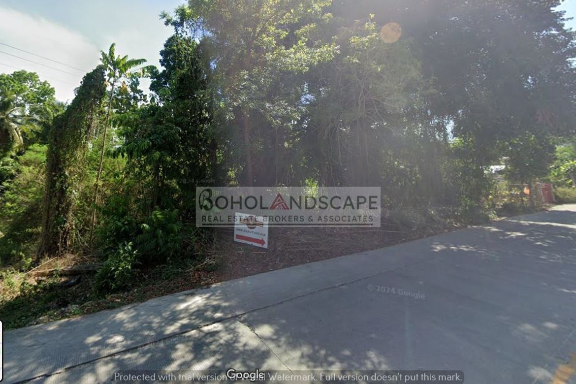 Land for Sale in San Vicente, Baclayon, Bohol – photo 6