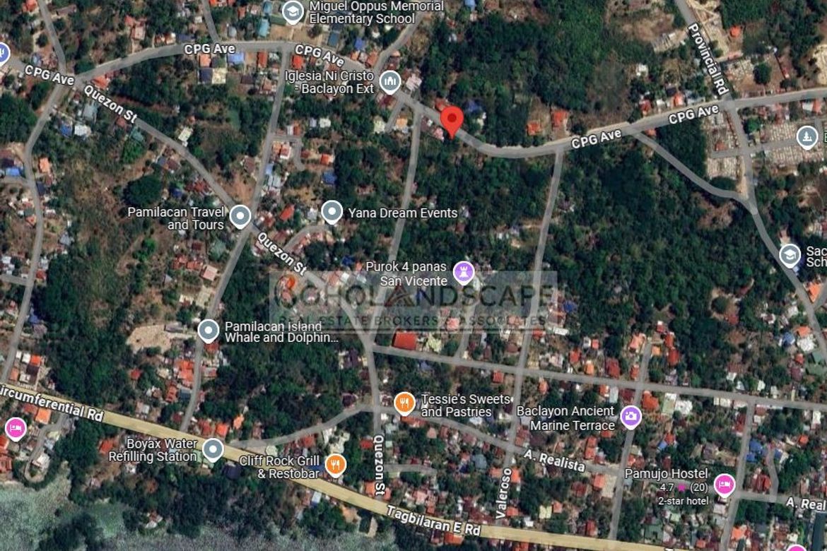 Land for Sale in San Vicente, Baclayon, Bohol – photo 7