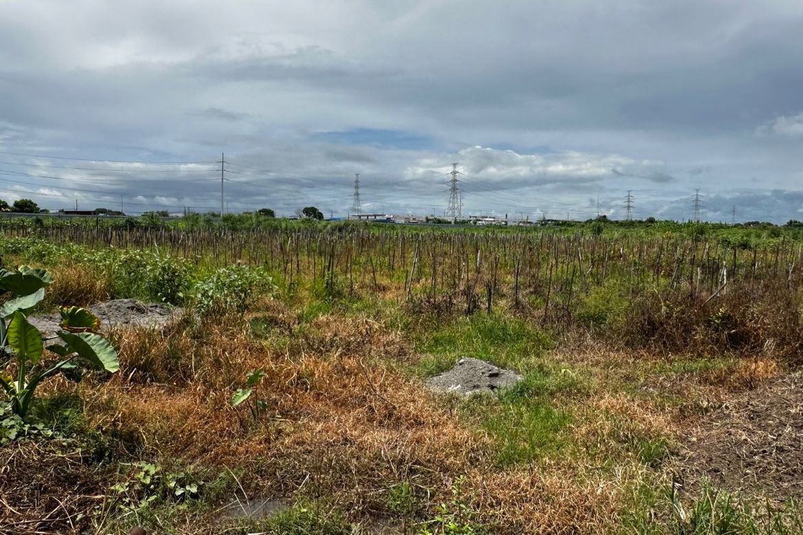 Land for Sale in San Vicente, Bacolor, Pampanga – photo 4