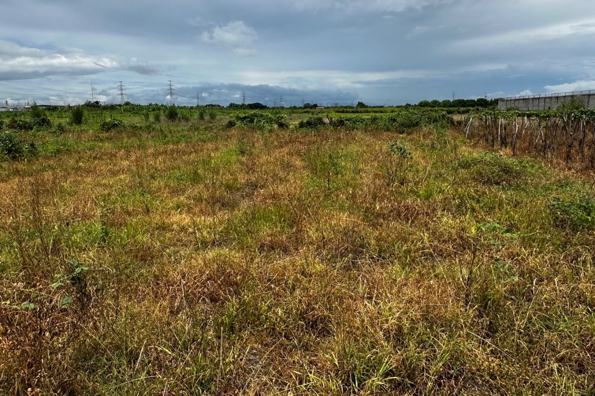 Land for Sale in San Vicente, Bacolor, Pampanga – photo 6
